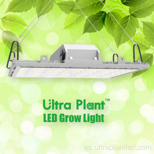 LED interior 660nm toda luz de planta de color rojo oscuro